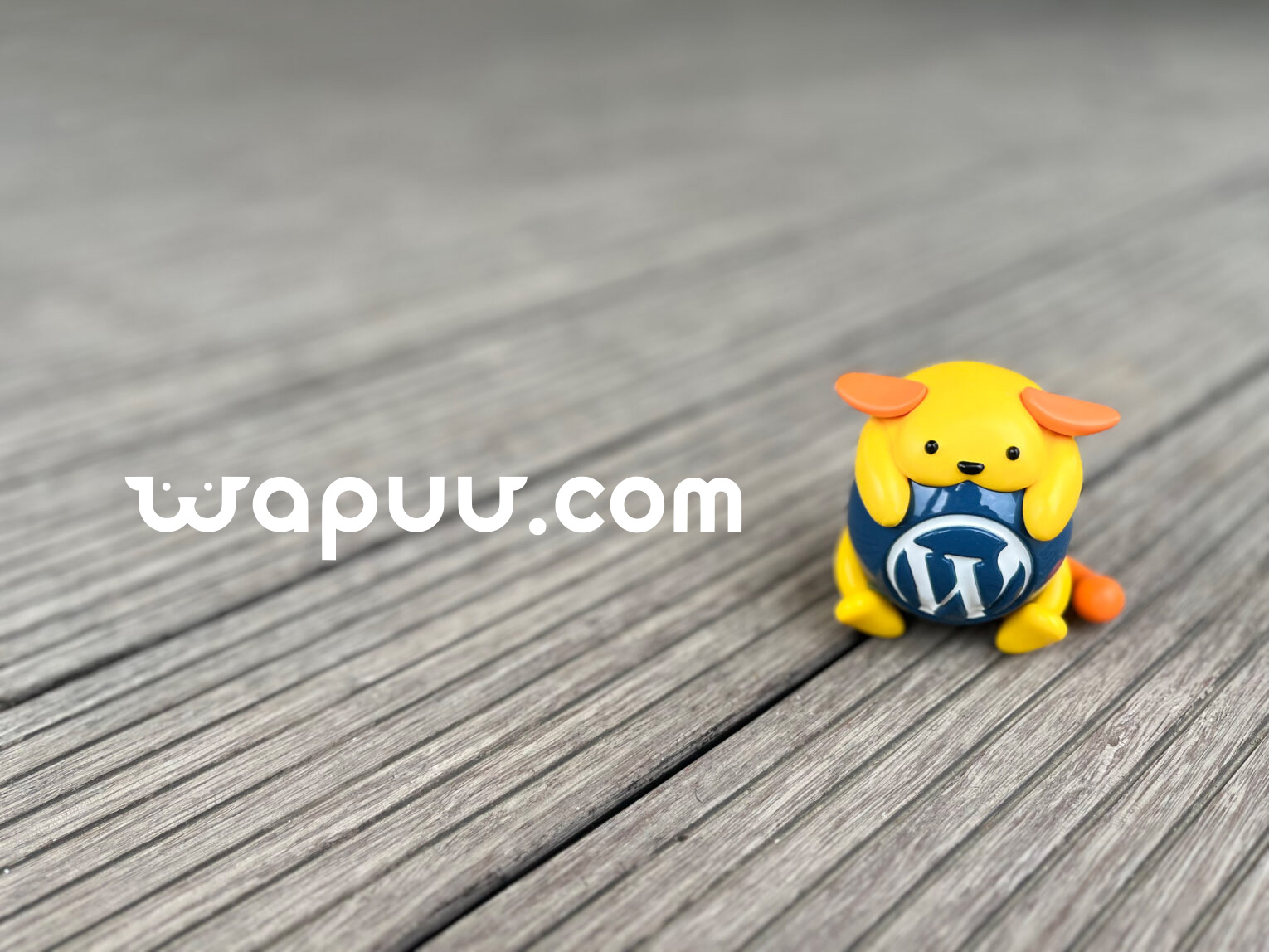 Wapuu.com 域名现已启用。